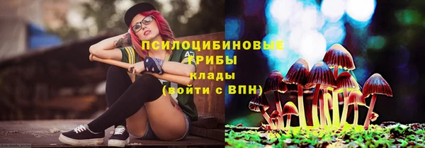 твердый Орск