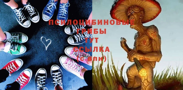 прущие грибы Великий Новгород