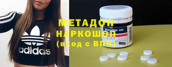 прущие грибы Великий Новгород