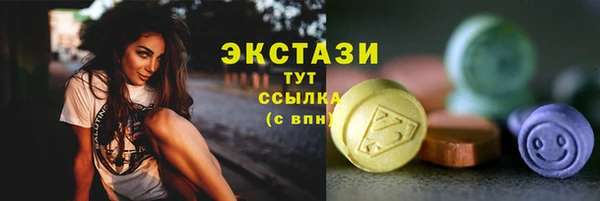 молекула духа Ветлуга
