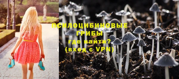 скорость Весьегонск