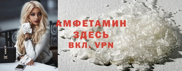 прущие грибы Великий Новгород