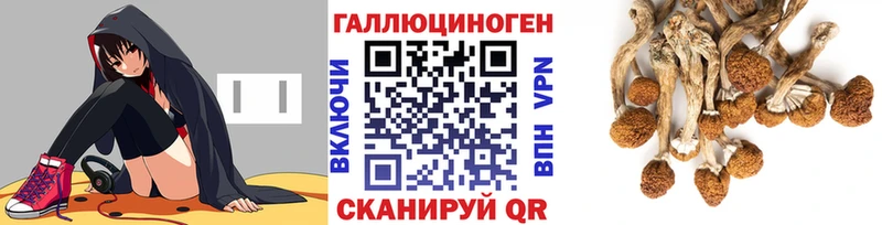 Псилоцибиновые грибы мухоморы Агрыз