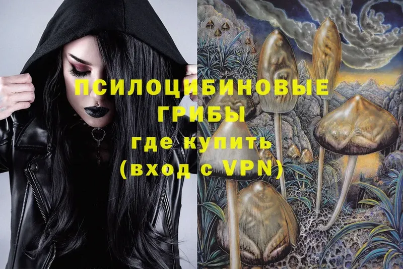 что такое   Агрыз  Псилоцибиновые грибы MAGIC MUSHROOMS 