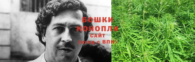 купить наркотики сайты Агрыз Бошки марихуана AK-47